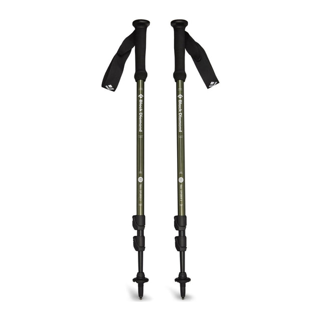 Et par Black Diamond Explorer 3 turstaver
